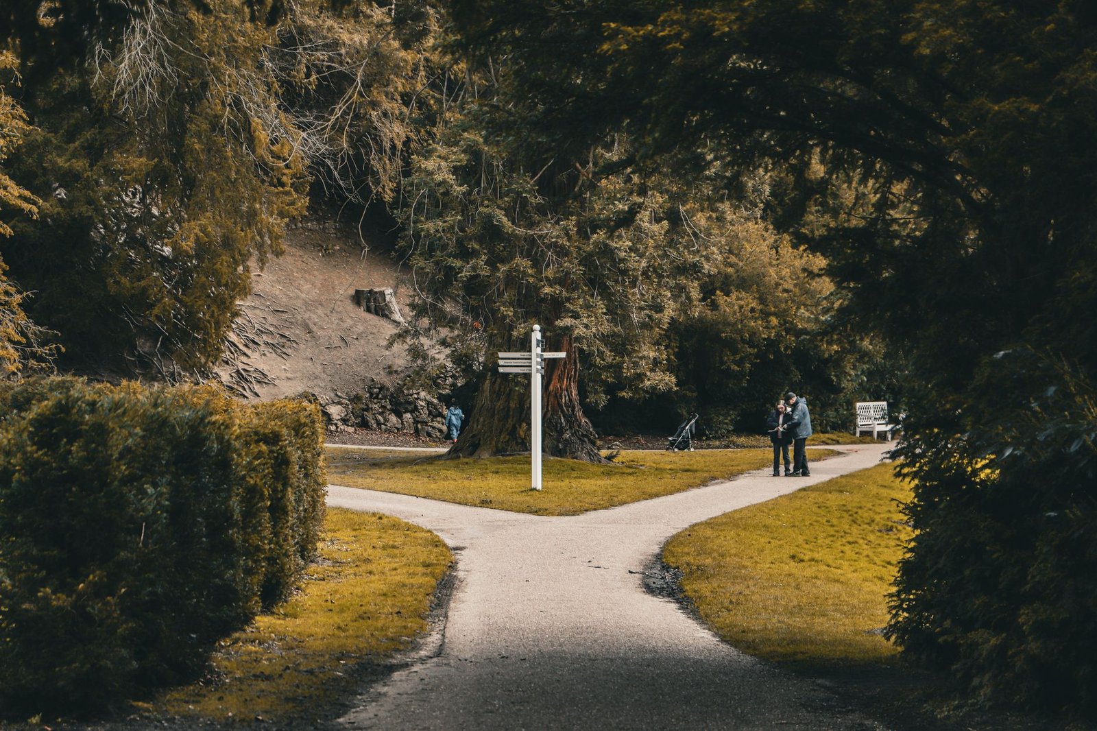 A forked path in a park with a signpost, like the different directions Anthropic and OpenAI are taking